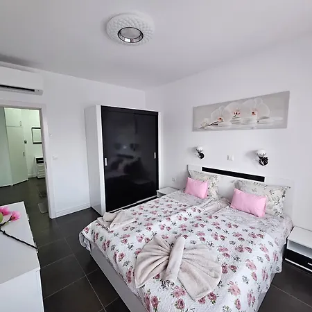 公寓 Rose Garden Deluxe 切尔诺莫雷茨