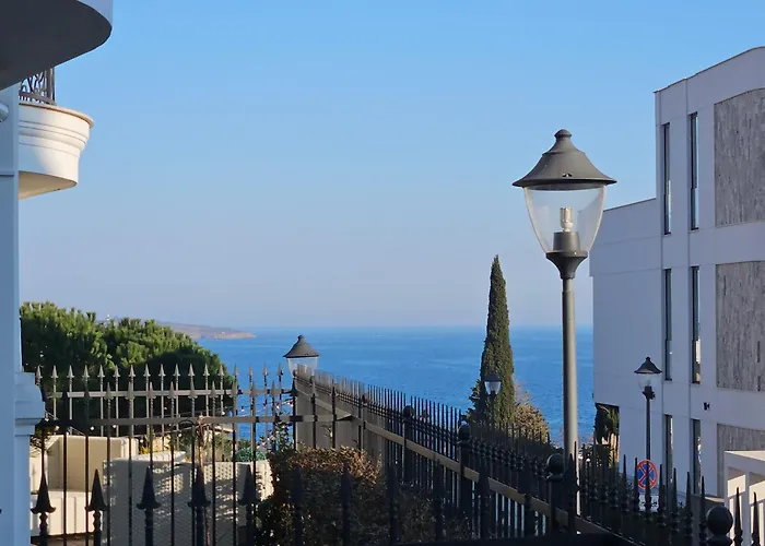 Rose Garden Deluxe 切尔诺莫雷茨